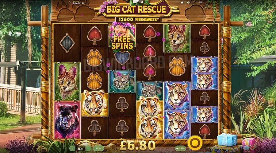 Big Cat Rescue Megaways slot gameplay