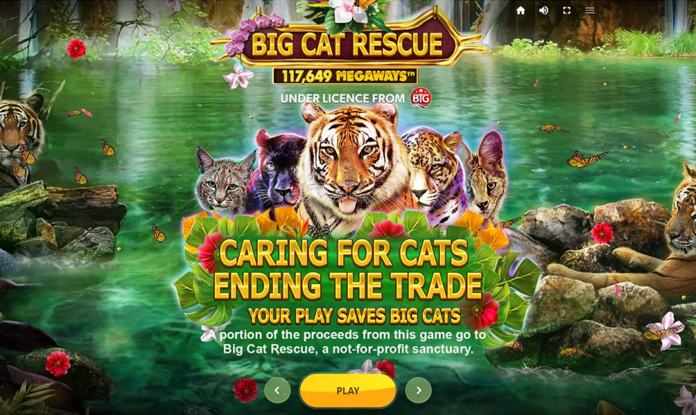 Big Cat Rescue Megaways logo