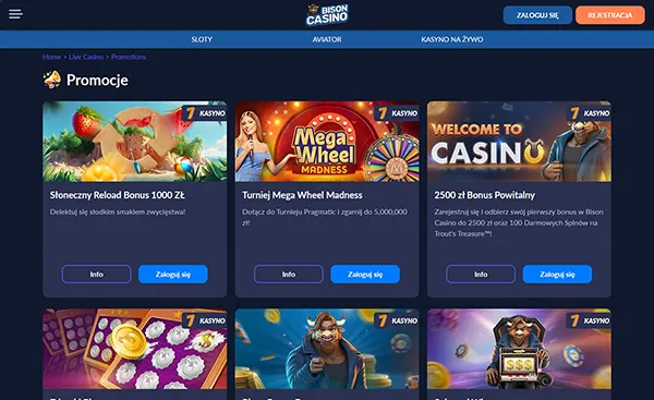 Bison Casino interface